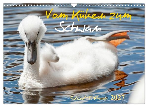 Produktbild: Vom K&uuml;ken zum Schwan (Wandkalender 2027 DIN A3 quer), CALVENDO Monatskalender