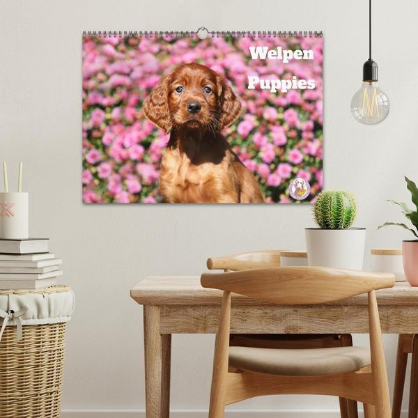 Produktbild: Welpen - Puppies (Wandkalender 2027 DIN A3 quer), CALVENDO Monatskalender