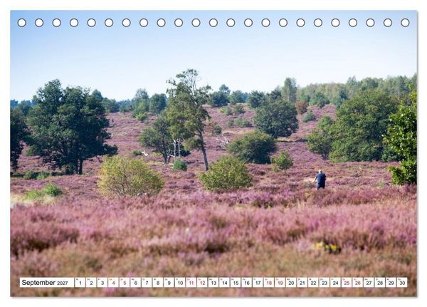 Produktbild: Radland Deutschland - L&uuml;neburger Heide (Tischkalender 2027 DIN A5 quer), CALVENDO Monatskalender