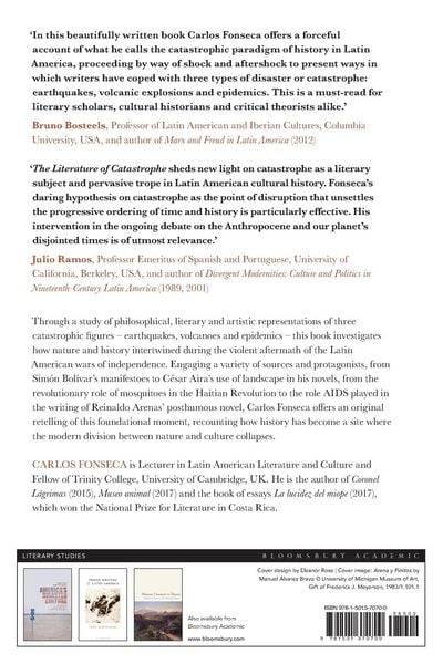 Produktbild: The Literature of Catastrophe