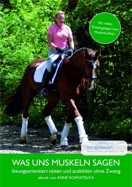 Was uns Muskeln sagen