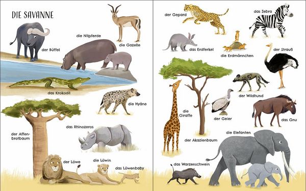 Produktbild: Entdecke die Welt der Tiere - Mein sch&ouml;nstes Bildw&ouml;rterbuch