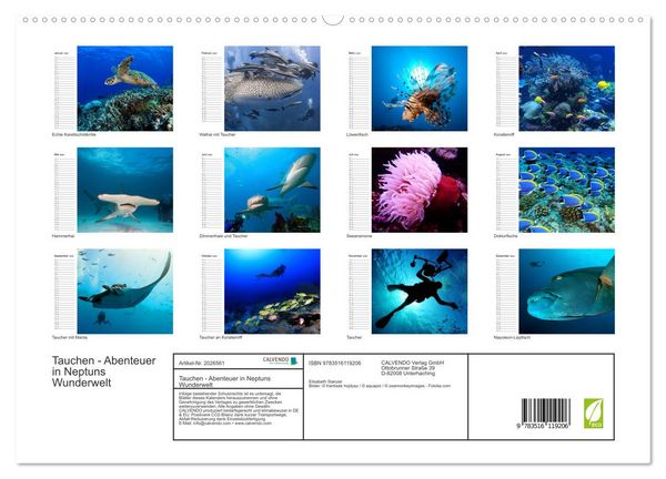 Produktbild: Tauchen - Abenteuer in Neptuns Wunderwelt (hochwertiger Premium Wandkalender 2026 DIN A2 quer), Kunstdruck in Hochglanz