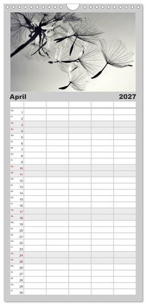 Produktbild: Familienplaner 2027 - Pusteblume - Impressionen in schwarzwei&szlig; mit 5 Spalten (Wandkalender, 21 x 45 cm) CALVENDO