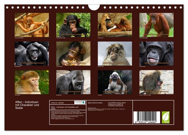Produktbild: Affen - Individuen mit Charakter und Seele (Wandkalender 2026 DIN A4 quer), CALVENDO Monatskalender
