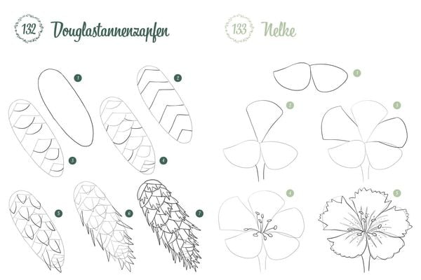 Produktbild: 300 Motive zeichnen &ndash; Botanik