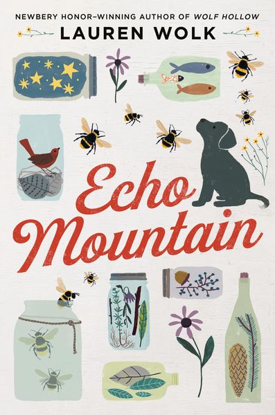 Produktbild: Echo Mountain