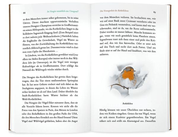 Produktbild: Kleine Philosophie der V&ouml;gel