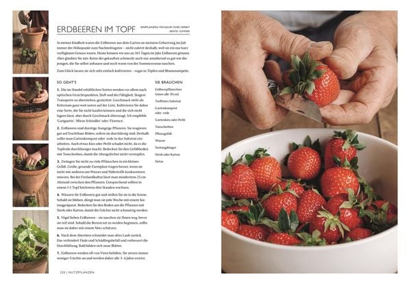 Produktbild: Das Gartenbuch