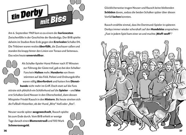 Produktbild: Mein Verein Borussia Dortmund &ndash; Die Geschichte, die Spieler, die Rekorde