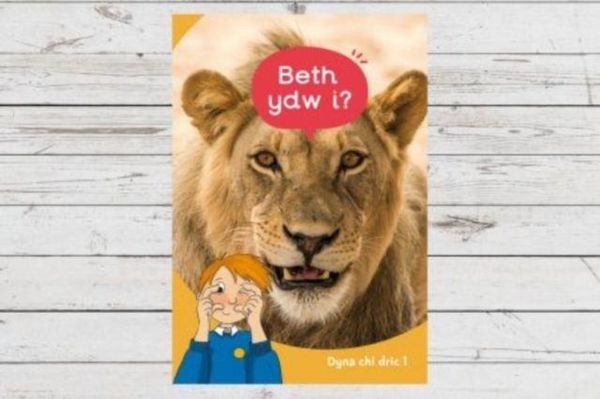 Produktbild: Dyna Chi Dric: Beth Ydw I?