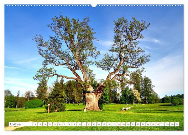 Produktbild: Gr&uuml;nes Estland - Naturparadies am Baltischen Meer (Wandkalender 2026 DIN A2 quer), CALVENDO Monatskalender