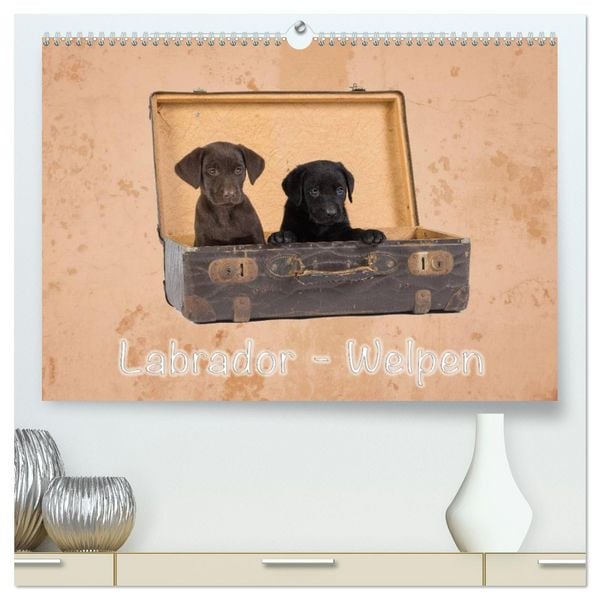 Labrador - Welpen (hochwertiger Premium Wandkalender 2026 DIN A2 quer), Kunstdruck in Hochglanz