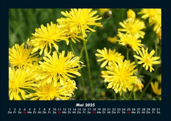Produktbild: Blumenzauber 2025 Fotokalender DIN A4