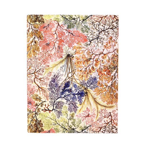 Produktbild: Softcover Notizbuch, Anemone, Ultra, Liniert