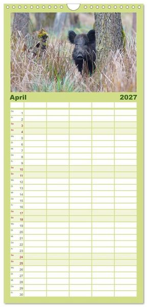Produktbild: Familienplaner 2027 - Wildschweine &ndash; Wildlife Fotografien mit 5 Spalten (Wandkalender, 21 x 45 cm) CALVENDO