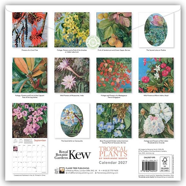 Produktbild: Marianne North, Tropical Plants &ndash; Tropische Pflanzen 2027 &ndash; Original Flame Tree Publishing-Kalender [Kalender]