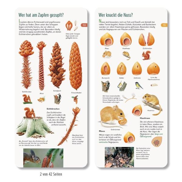 Produktbild: Wer hat am Zapfen gezupft? &ndash; Wawra's Naturf&auml;cher f&uuml;r unterwegs