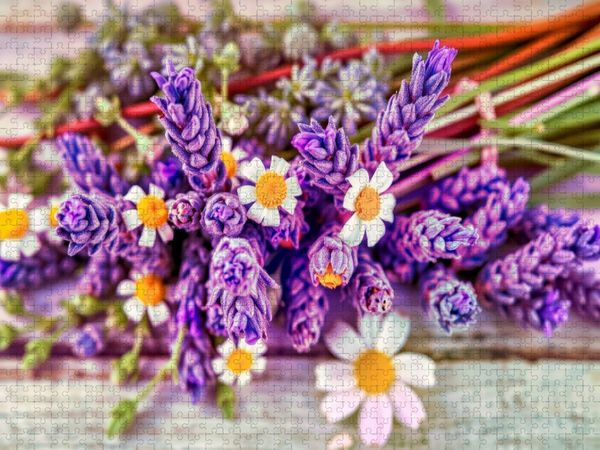 Produktbild: CALVENDO Puzzle Nat&uuml;rlich entspannen - mit dem Duft des Lavendels. | 1000 Teile Lege-Gr&ouml;&szlig;e 64x48cm Foto-Puzzle f&uuml;r gl&uuml;ckliche Stunden