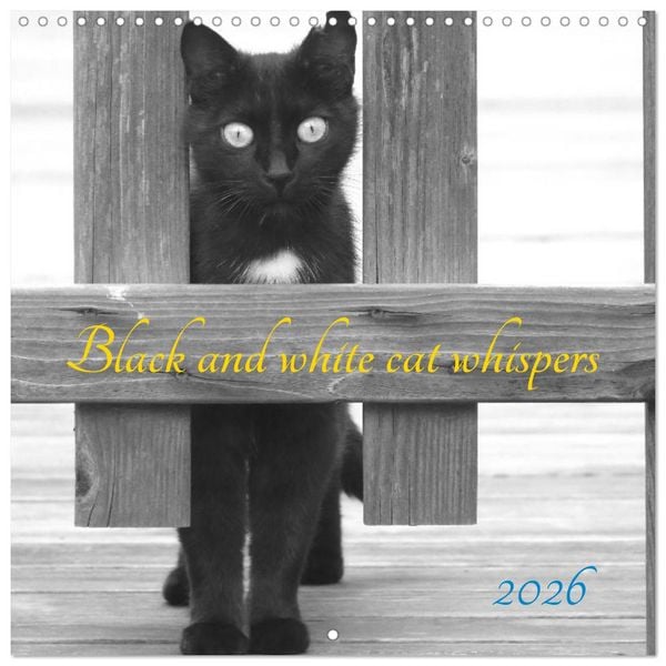 Produktbild: Black and white cat whispers (Wall Calendar 2026 12 &times; 12 Inch) CALVENDO 12 Month Wall Calendar