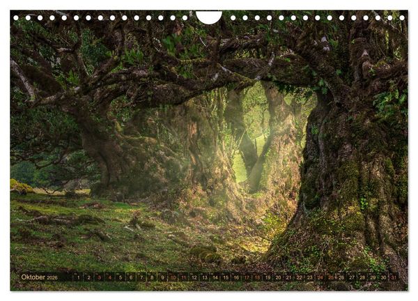 Produktbild: Madeira, Insel zwischen Himmel und Meer (Wandkalender 2026 DIN A4 quer), CALVENDO Monatskalender