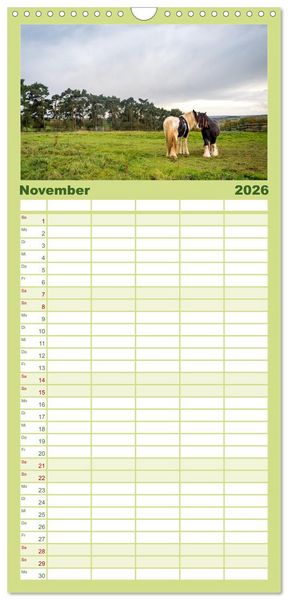 Produktbild: Familienplaner 2026 - Nationalpark Eifel - Sch&ouml;ne Tage im Gr&uuml;nen mit 5 Spalten (Wandkalender, 21 x 45 cm) CALVENDO