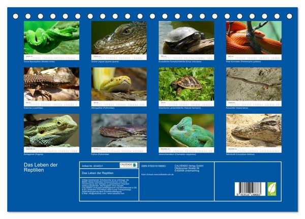 Produktbild: Das Leben der Reptilien (Tischkalender 2026 DIN A5 quer), CALVENDO Monatskalender
