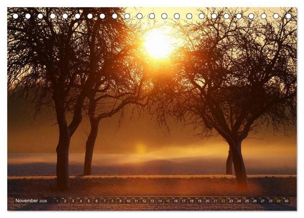 Produktbild: B&auml;ume (Tischkalender 2026 DIN A5 quer), CALVENDO Monatskalender