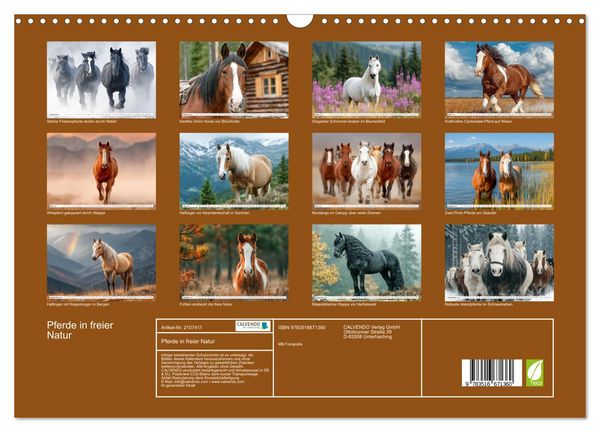 Produktbild: Pferde in freier Natur (Wandkalender 2026 DIN A3 quer), CALVENDO Monatskalender