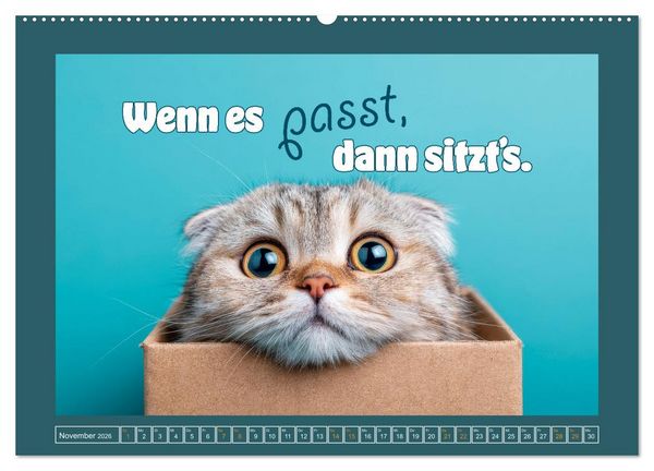 Produktbild: Katzenhumor - Ein Jahr voller Flauschalarm (Wandkalender 2026 DIN A2 quer), CALVENDO Monatskalender