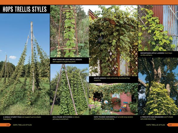 Produktbild: The Homebrewer's Garden, 2nd Edition