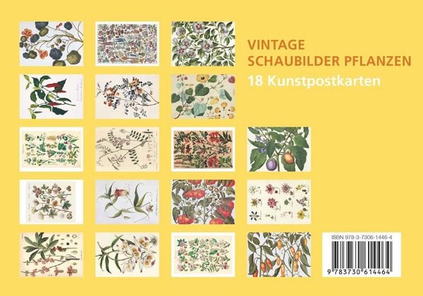 Produktbild: Postkarten-Set Vintage-Schaubilder Pflanzen