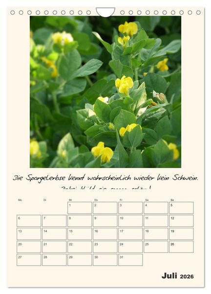 Produktbild: Gartengeschichten (Wandkalender 2026 DIN A4 hoch), CALVENDO Monatskalender