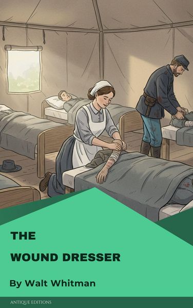 Produktbild: The wound dresser