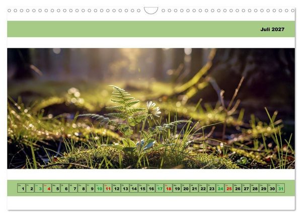 Produktbild: Naturaufnahmen - Panorama (Wandkalender 2027 DIN A3 quer), CALVENDO Monatskalender