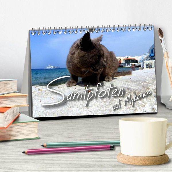 Produktbild: SAMTPFOTEN auf Mykonos (Tischkalender 2026 DIN A5 quer), CALVENDO Monatskalender