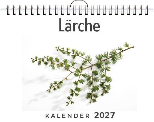 Produktbild: L&auml;rche