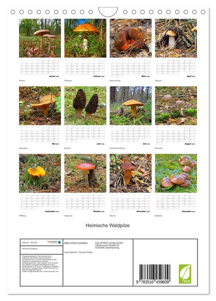 Produktbild: Heimische Waldpilze (Wandkalender 2026 DIN A4 hoch), CALVENDO Monatskalender
