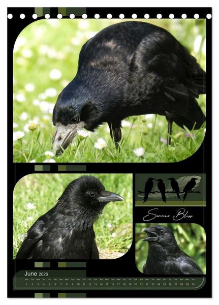 Produktbild: Crows - Through the Seasons (Desk Calendar 2026 DIN A5 portrait), CALVENDO 12 Month DeskCalendar