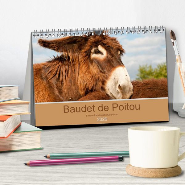 Produktbild: Baudet de Poitou - Seltene franz&ouml;sische Langohren (Tischkalender 2026 DIN A5 quer), CALVENDO Monatskalender