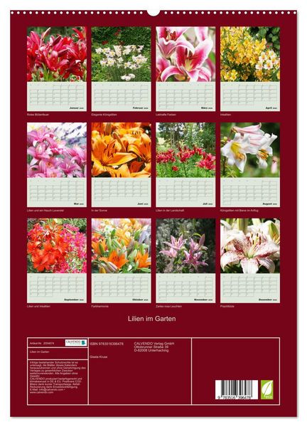 Produktbild: Lilien im Garten (hochwertiger Premium Wandkalender 2026 DIN A2 hoch), Kunstdruck in Hochglanz