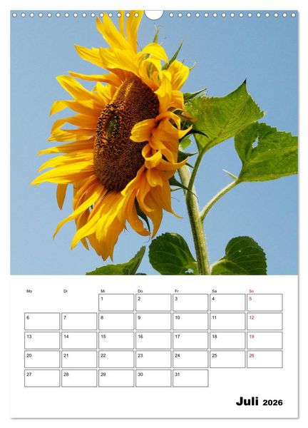 Produktbild: Leuchtende Sonnenblumen (Wandkalender 2026 DIN A3 hoch), CALVENDO Monatskalender