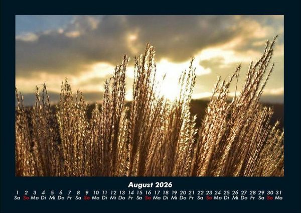 Produktbild: Bilder der Natur 2026 Fotokalender DIN A4