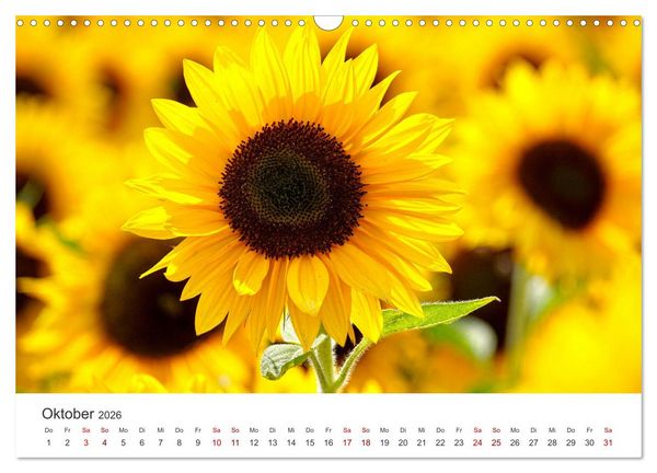 Produktbild: Die magische Welt der Blumen (Wandkalender 2026 DIN A3 quer), CALVENDO Monatskalender