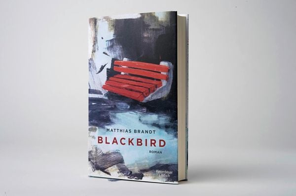 Produktbild: Blackbird