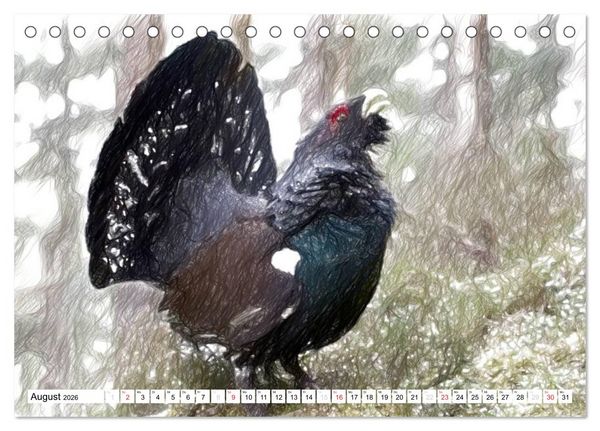 Produktbild: Schottlands Vogelwelt - Ein Portr&auml;t in Zeichnungen (Tischkalender 2026 DIN A5 quer), CALVENDO Monatskalender