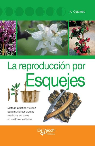 Produktbild: La reproducci&oacute;n por esquejes