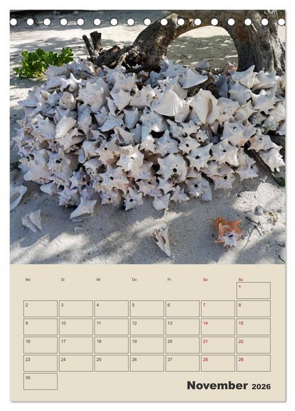 Produktbild: Mexiko Yucat&aacute;n Terminplaner (Tischkalender 2026 DIN A5 hoch), CALVENDO Monatskalender