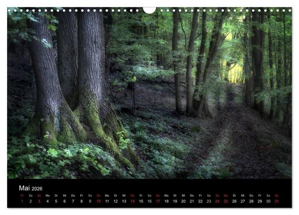 Produktbild: Waldkalender (Wandkalender 2026 DIN A3 quer), CALVENDO Monatskalender