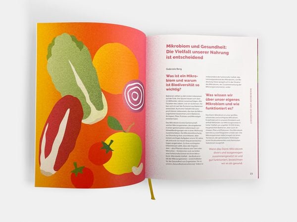 Produktbild: 30 Pflanzen pro Woche